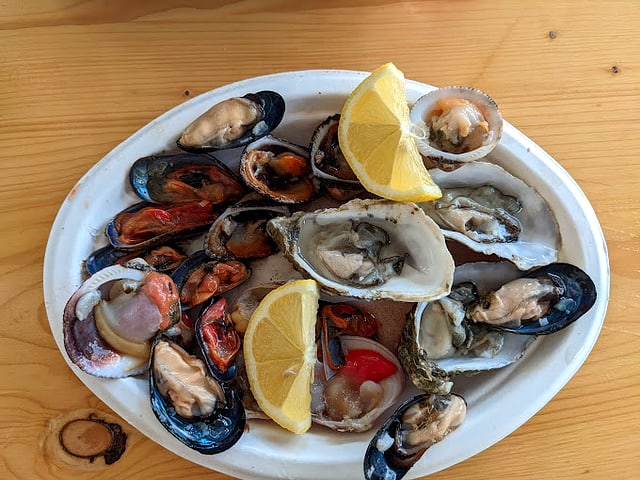 Frutti di mare crudi misti freschi: ostriche, cozze, fasolari — Pescheria del Corso Torre Vado